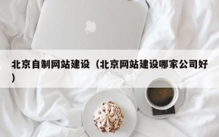 崇左北京自制网站建设（北京网站建设哪家公司好）